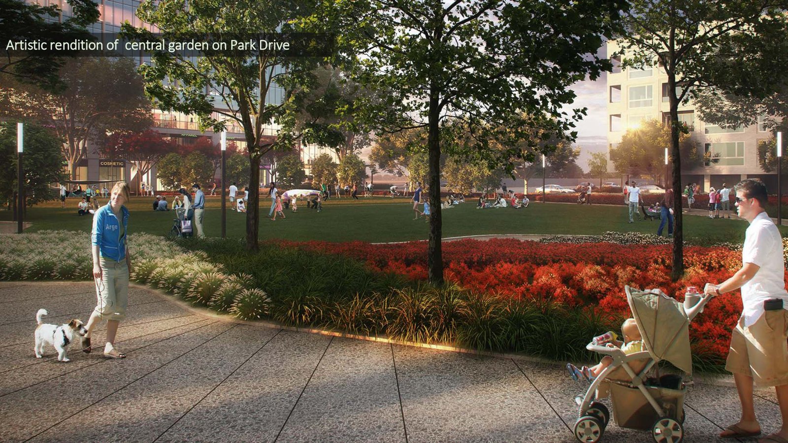 DLF The Grove — photo 2