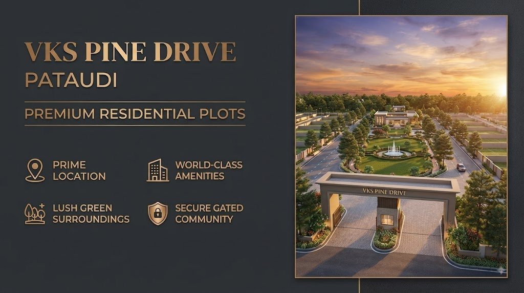 VKS Pine Drive Sector 2 & 3 Pataudi — photo 1