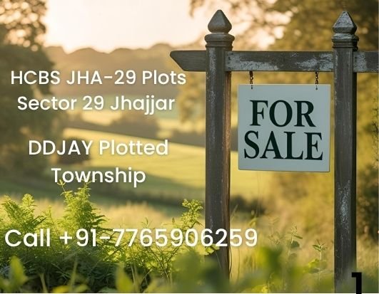 HCBS JHA-29 Plots Sector 29 Jhajjar | DDJAY Plotted Township — photo 2