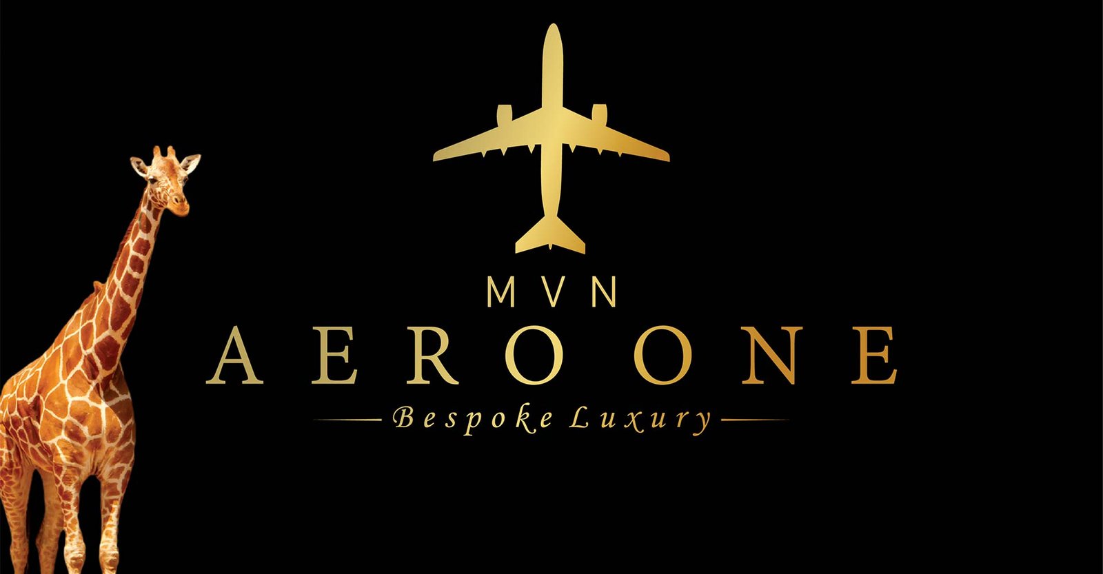 MVN Aero One — photo 1