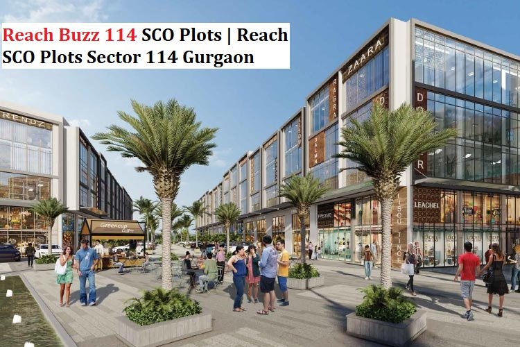 Reach Buzz 114 SCO Sector 114 Gurgaon