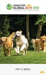 Signature Global City 37D Pet's Area