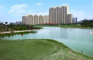 DLF The Camellias image 1