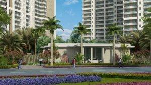 DLF The Crest Image 20