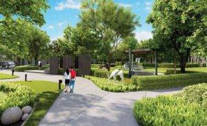 Tulip Yellow Image 3