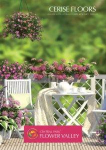 Central-Park-Flower-Valley-Cerise-Floors-image-1