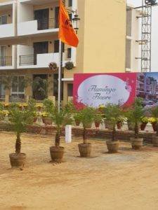 Central-Park-Flower-Valley-Flamingo-Floors-image1