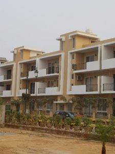 Central-Park-Flower-Valley-Flamingo-Floors-image2