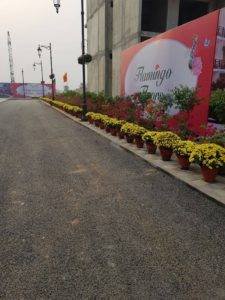 Central-Park-Flower-Valley-Flamingo-Floors-image6