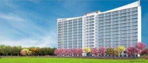 Central Park Flower Valley The Room