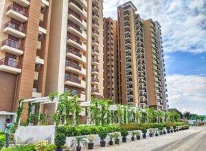 Eldeco Acclaim image 14