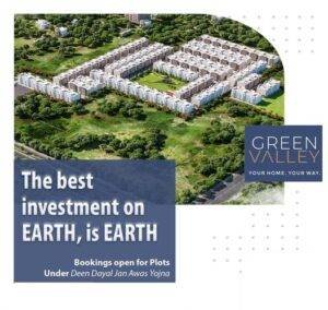 Lion Green Valley image 4