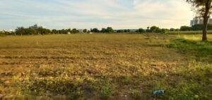 Pal Shiva Som Valley Image 6