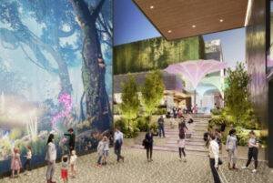 Elan Paradise image 5