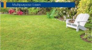 Signature Global City 92 image 14