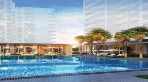 Tata La Vida image 5