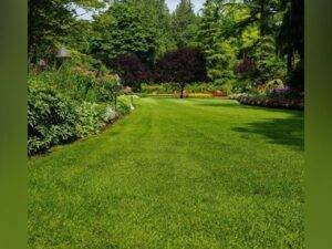 Farmhouses see Jump in Demand after New CLU Policy