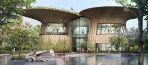 Tulip Monsella Image 6