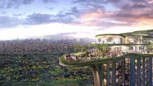 Tulip Monsella Image 9