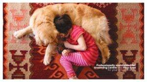 Tarc Tripundra Pet Grooming Centre