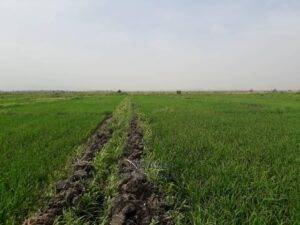 Oberoi Realty in Talks to Acquire 50-Acre Land in Gurgaon