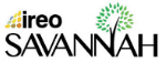 Ireo logo