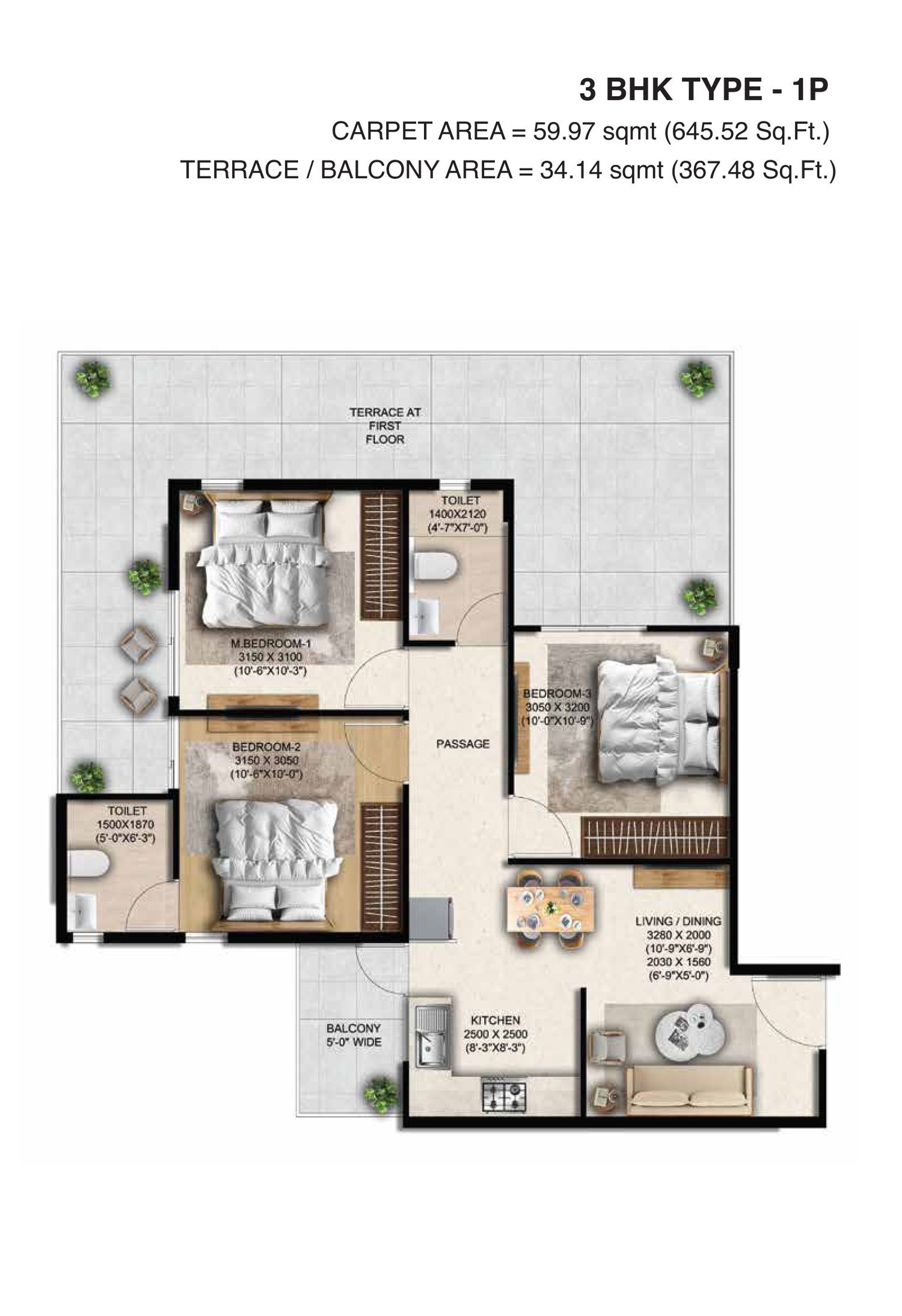 Anantya Sector 110A Faridabad floor plan — 3 BHK Type 1P (management quota) — 645.52 sq ft carpet, 367.48 sq ft terrace