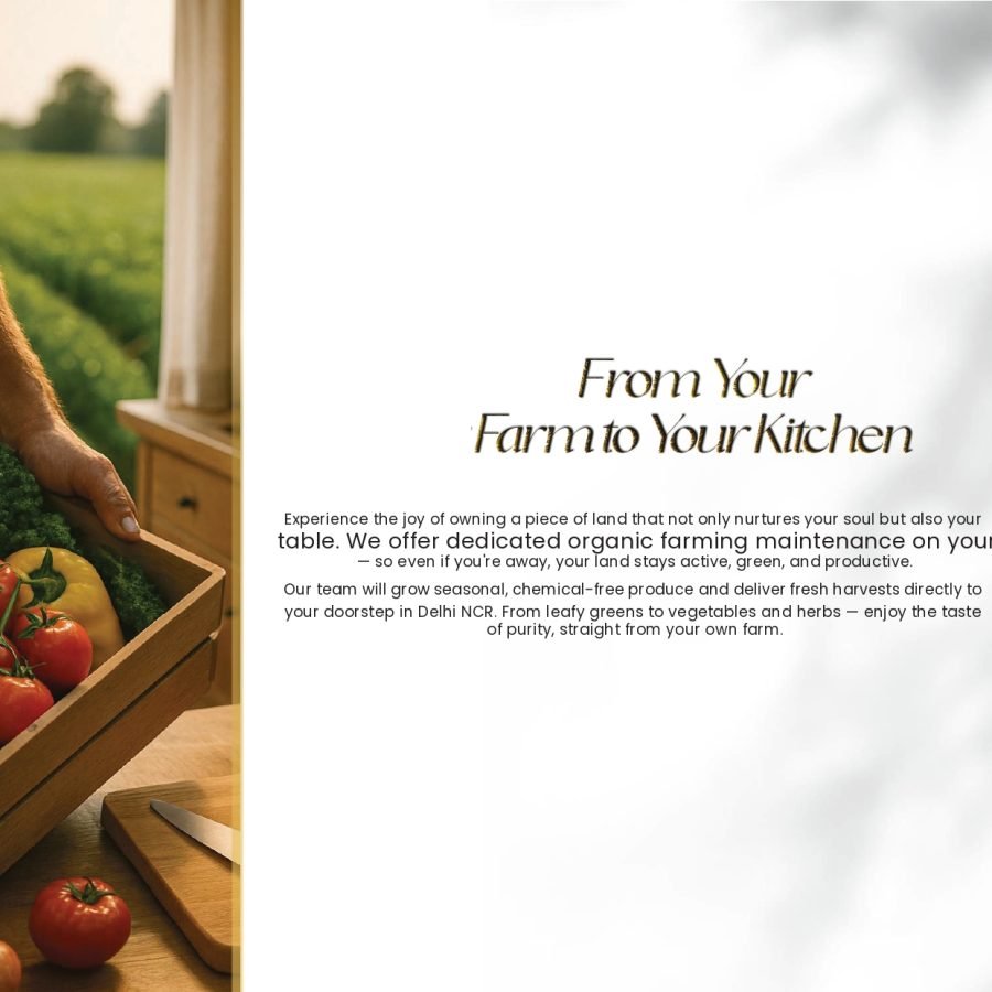 02_08_Sukoon Farms.pdf (2) (2)_page-0006