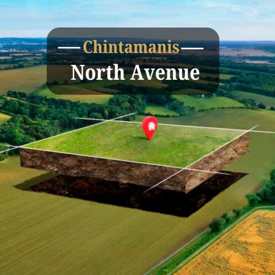 Chintamanis-North-Avenue