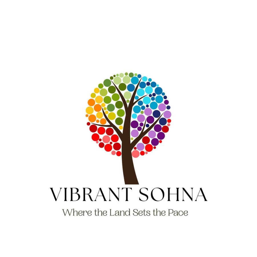 Digital Vibrant Sohna Brochure-images-17
