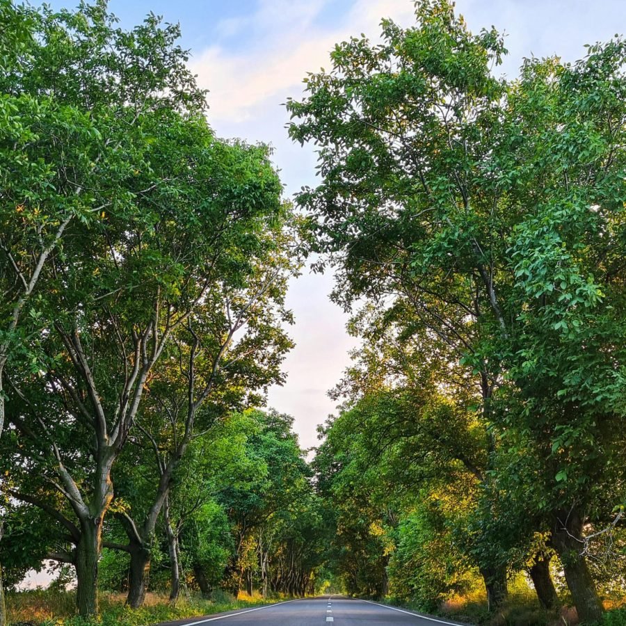 Digital Vibrant Sohna Brochure-images-7