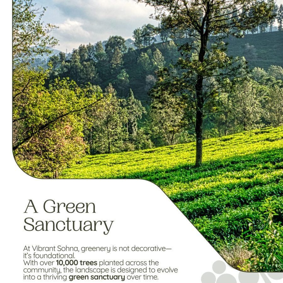 Digital Vibrant Sohna Brochure-images-8