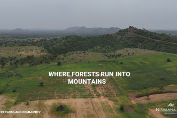 Gemini_Generated_Image_628ekm628ekm628e