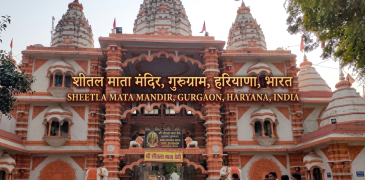 Gemini_Generated_Image_7qex457qex457qex