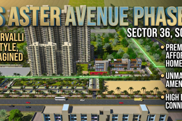 4S Aster Avenue 2