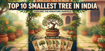 Smallest tree in the india Top 10 Smallest tree in india