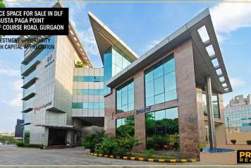 Gemini_Generated_Image_p6oqg6p6oqg6p6oq