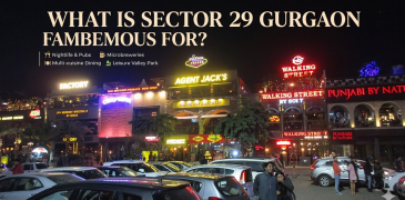 What is Sector 29 Gurgaon Famous For