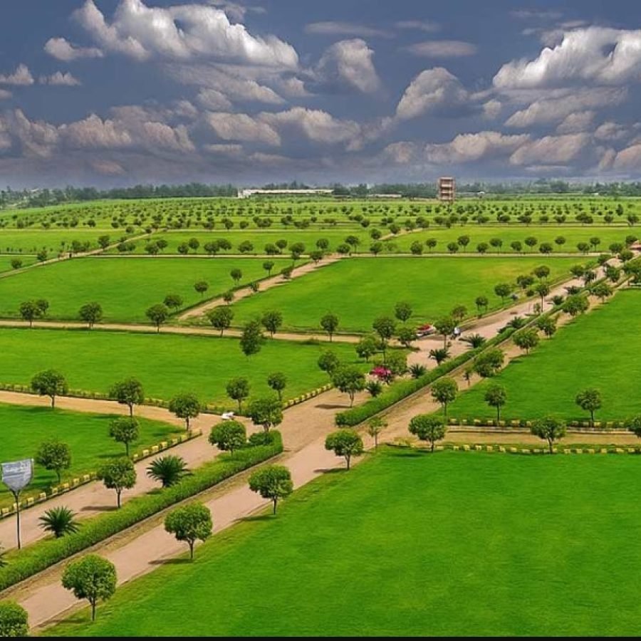 HCBS Plots jhajjar