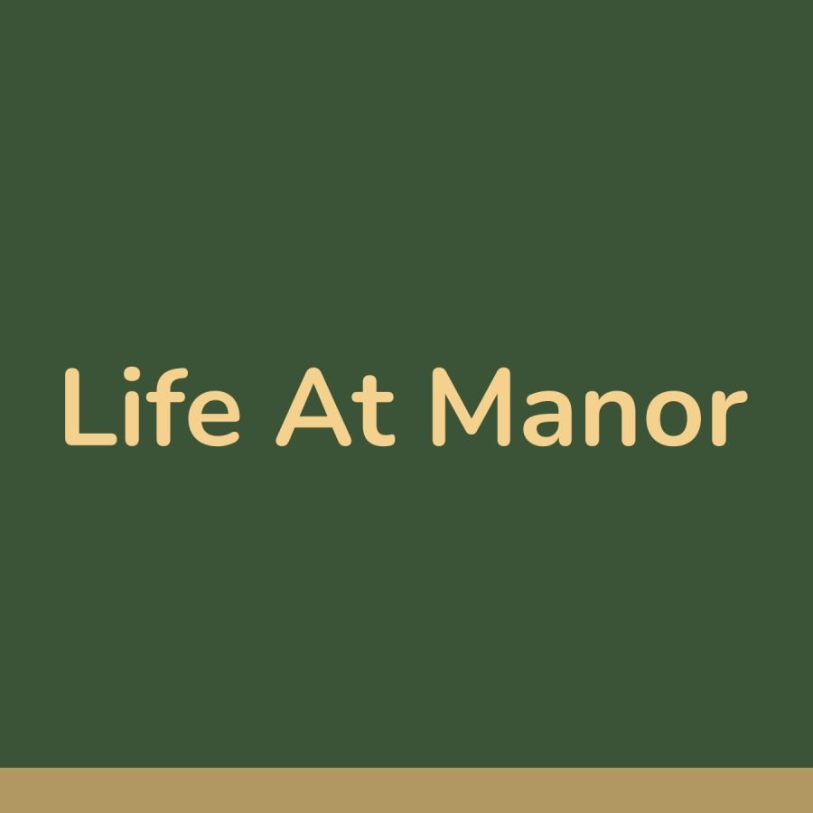 Manor updated ppt_page-0014