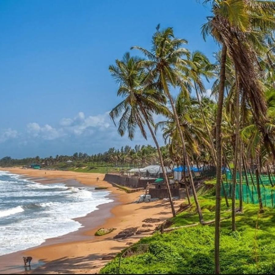 goa plots