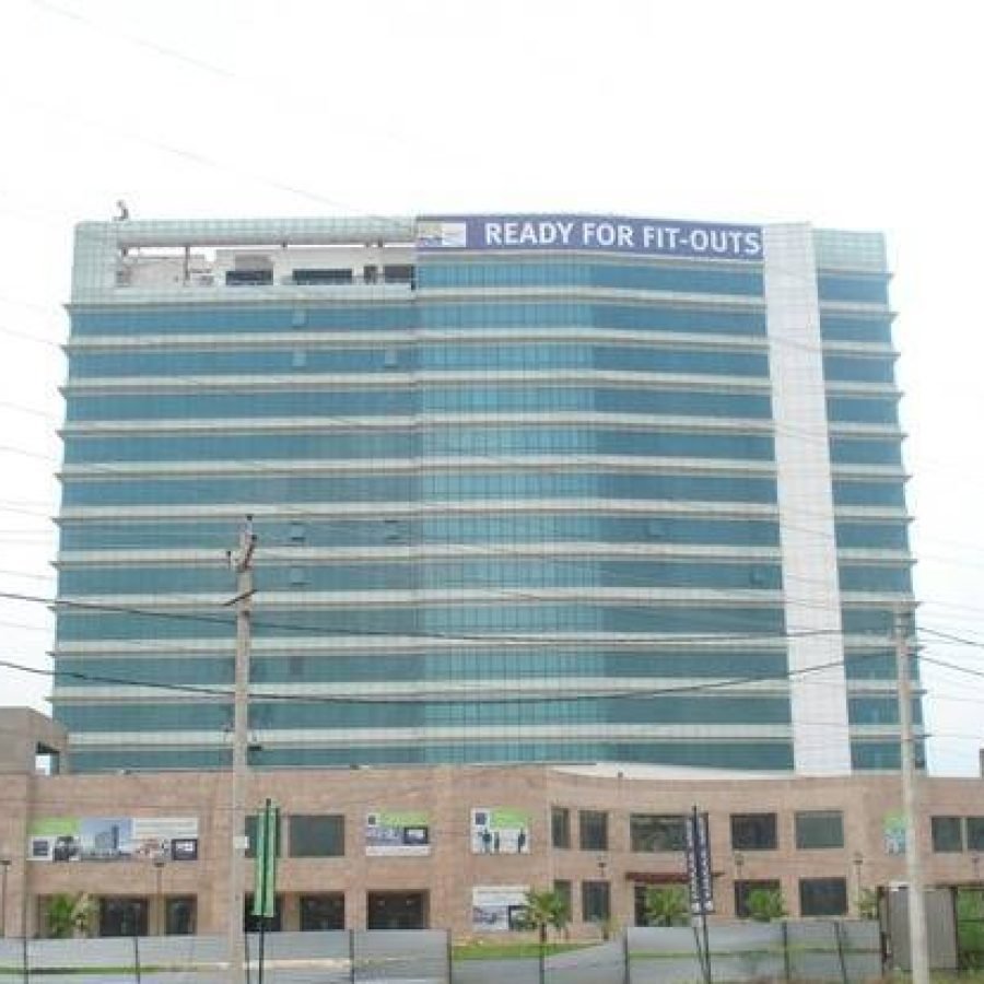 palm-square-11 (2)
