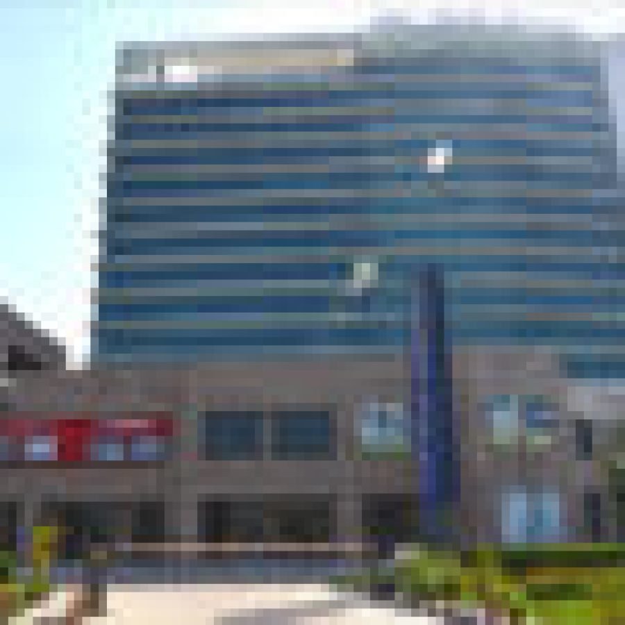 palm-square-124x76