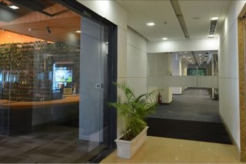 palm-square-2