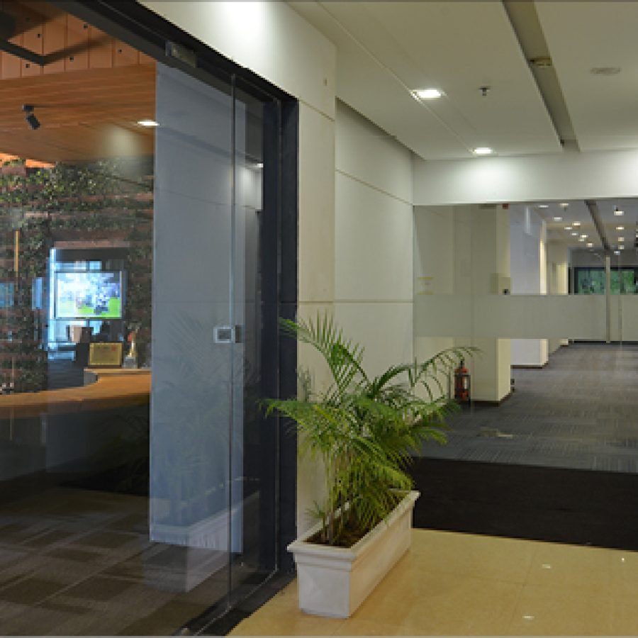 palm-square-2