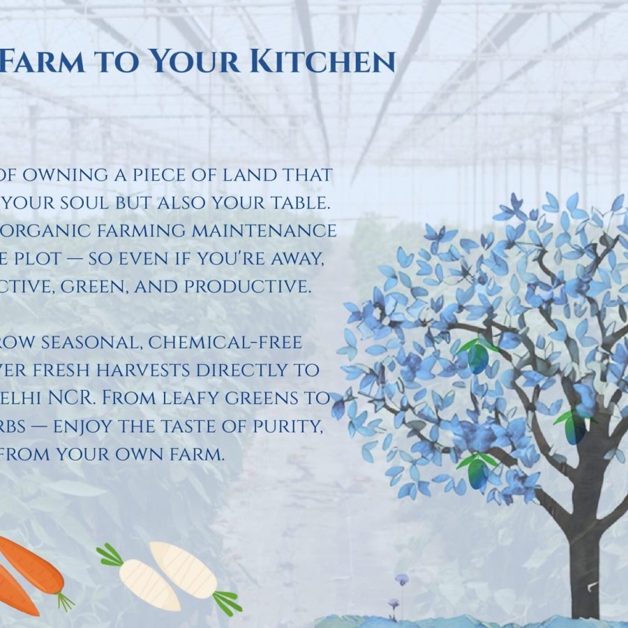 sukoon farms ppt updated new 2 (1)_page-0012